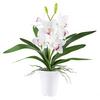 Kunstpflanze Orchideen Rosa/Weiß, 53 cm - Rosa/Weiß, Design, Kunststoff (53cm) - P & B