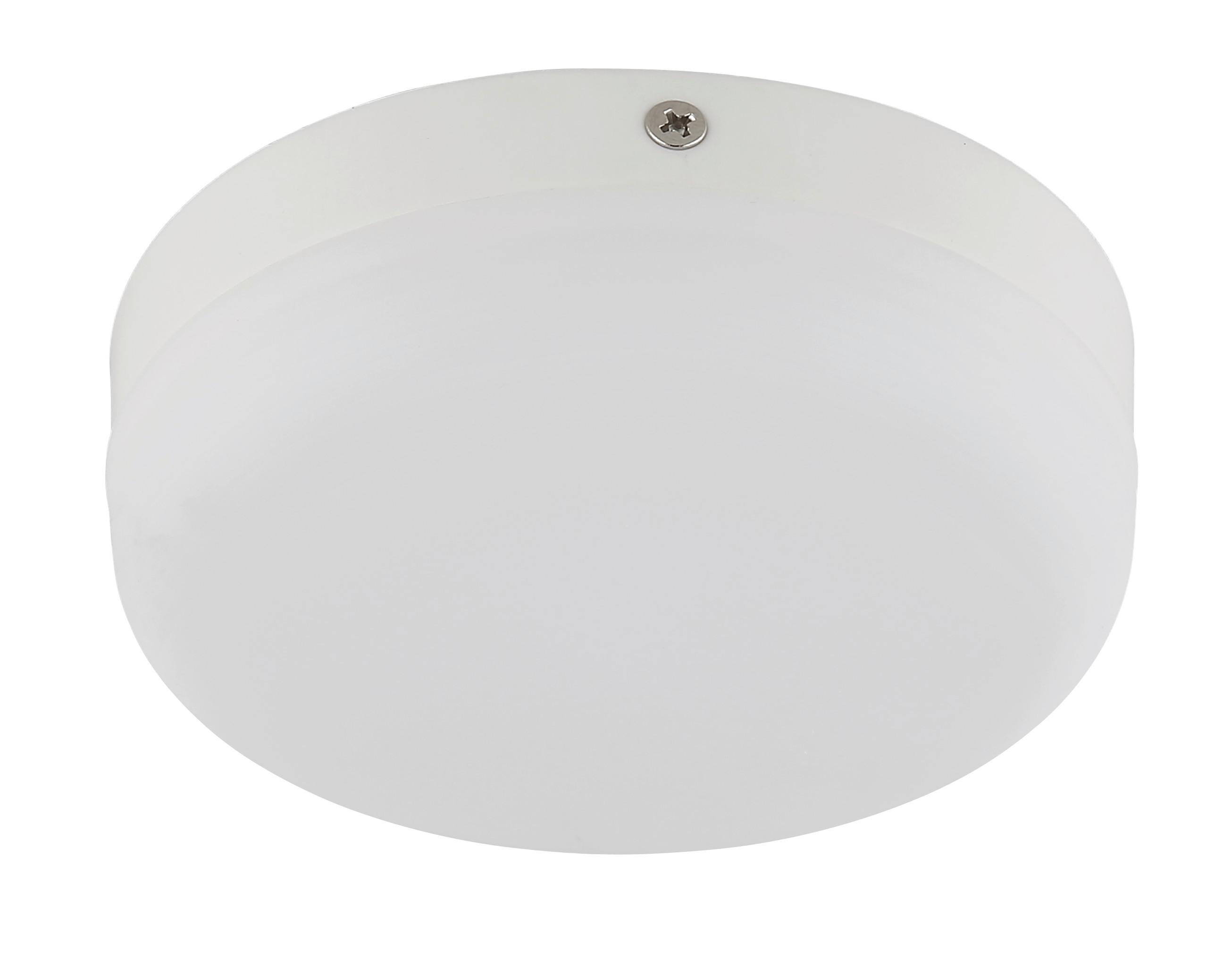STROPNÍ LED SVÍTIDLO SMALI - bílá/opál, Moderní, plast (12/4,5cm) - Mömax