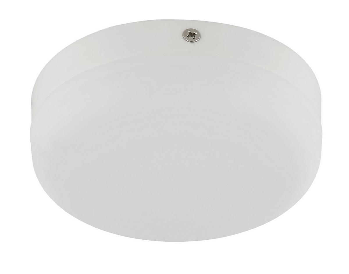 STROPNÍ LED SVÍTIDLO SMALI - bílá/opál, Moderní, plast (12/4,5cm) - Mömax