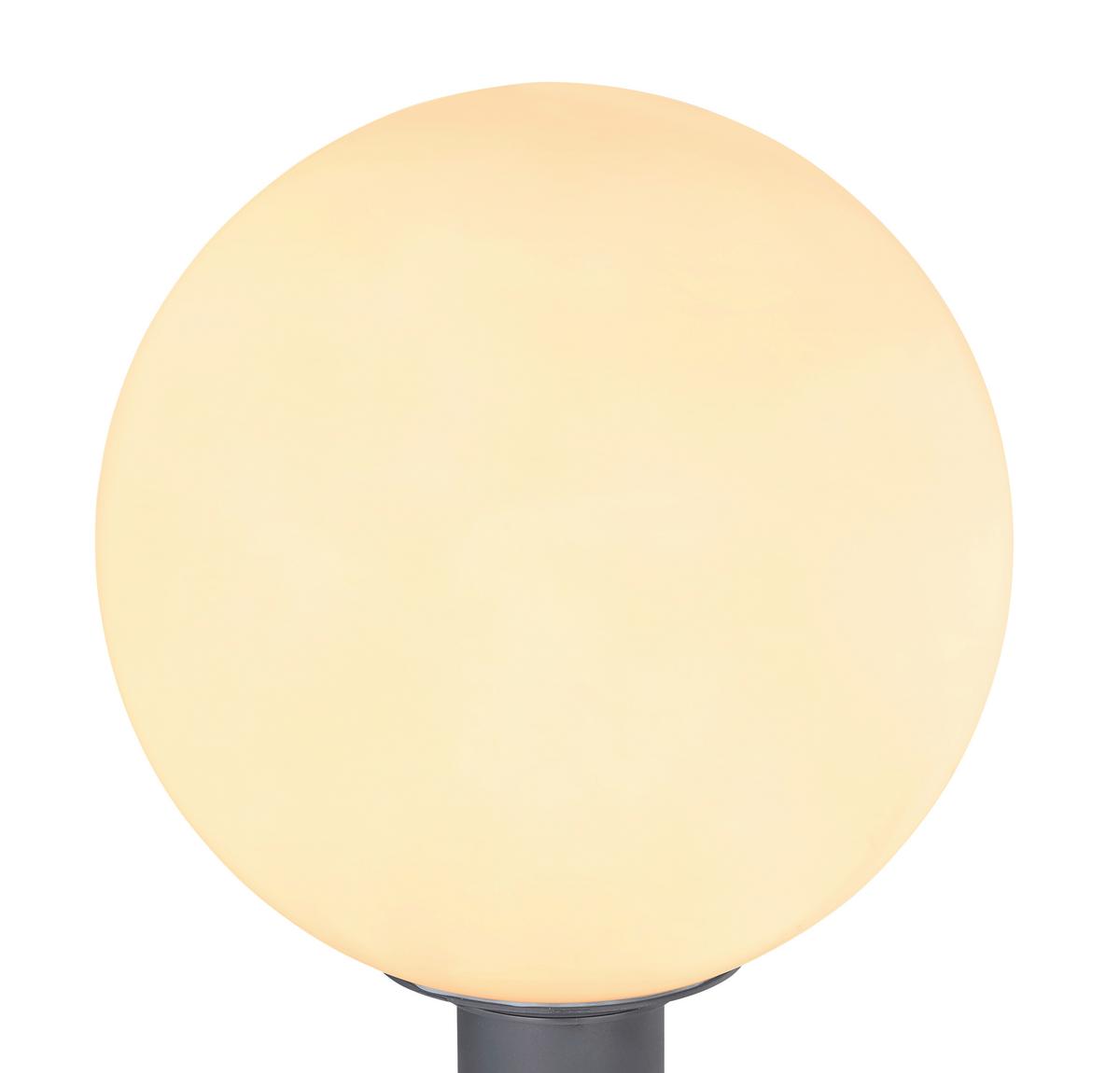 Außenleuchte 15 W Glas/Aluminium - Anthrazit/Opal, Basics, Glas/Metall (25/38cm) - Globo