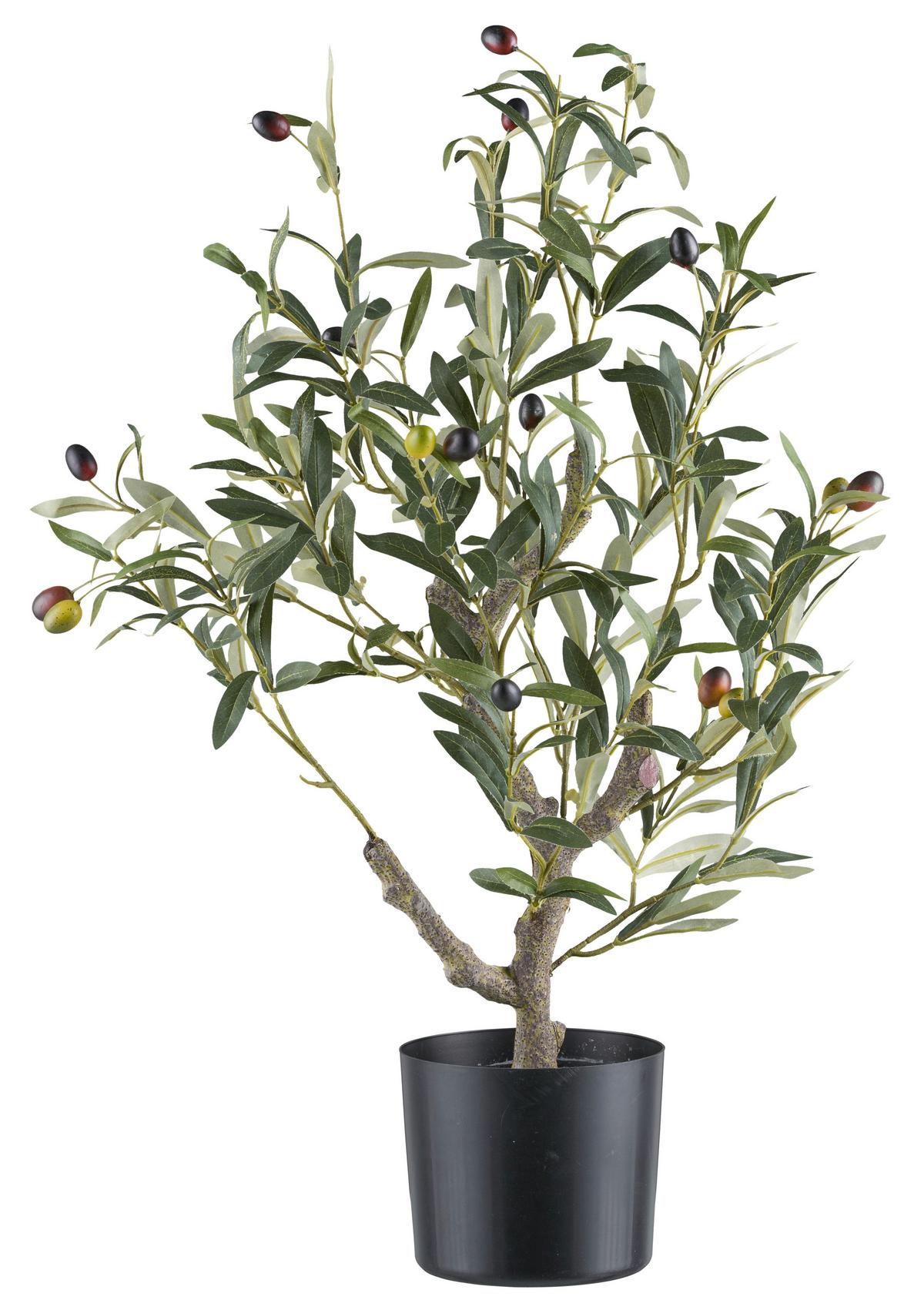 Dekoračný strom Oliva, výška 70cm - zelená/prírodná farba, Konventionell, plast (13/70cm) - Mömax