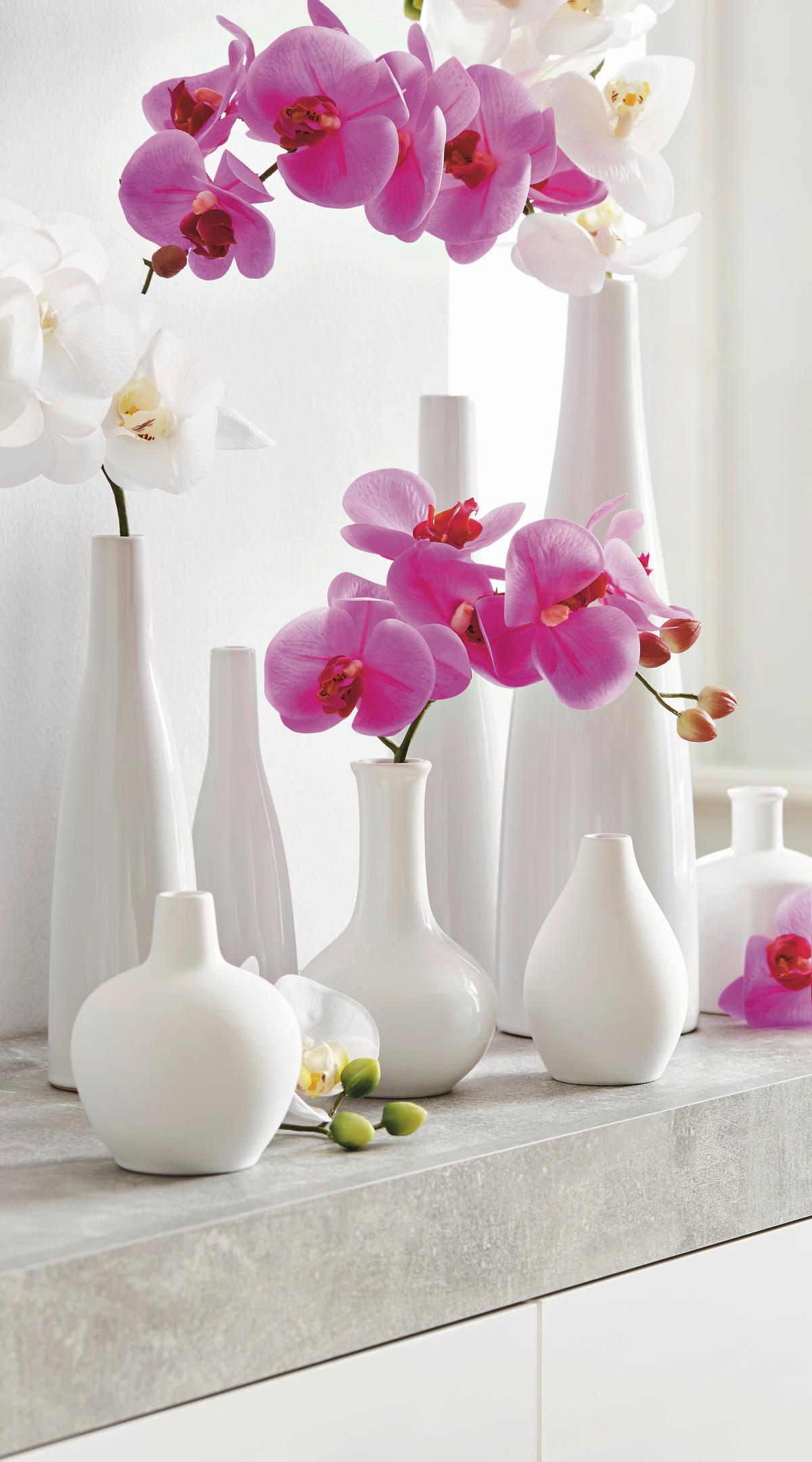 VÁZA PLANCIO - bílá, Moderní, keramika (8,5/33cm) - Modern Living