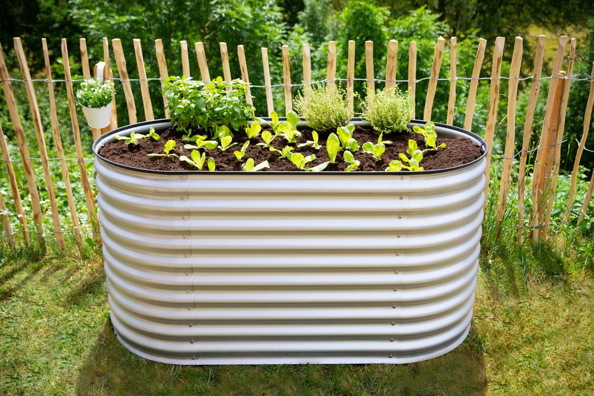 Hochbeet Metall Hochbeet Oval 160 Cm - Silberfarben, Basics, Metall (160/82/80cm)