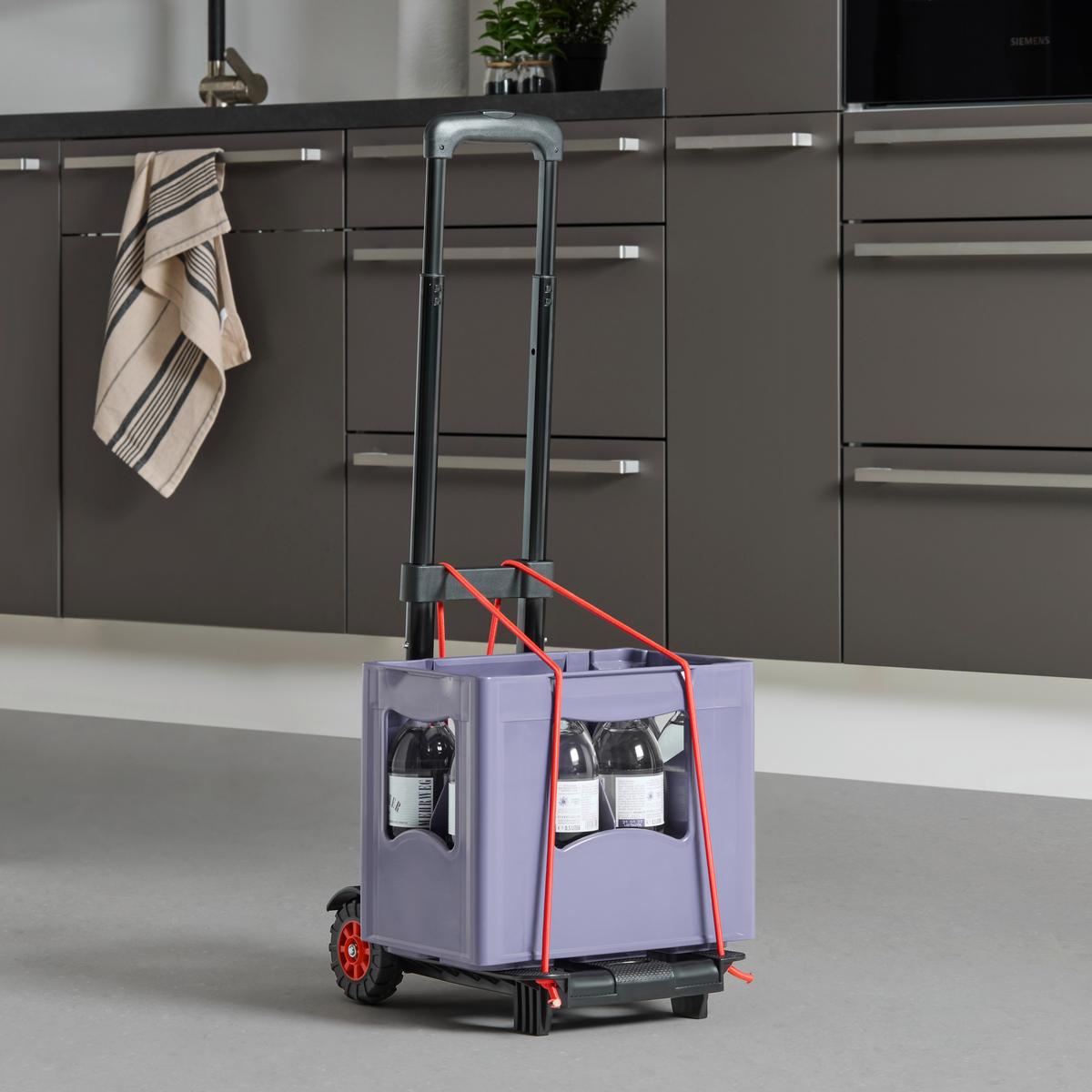 TRANSPORTROLLER Kunststoff, 50 kg belastbar - Hellrot/Schwarz, KONVENTIONELL, Kunststoff (34/24,5/93,5cm)