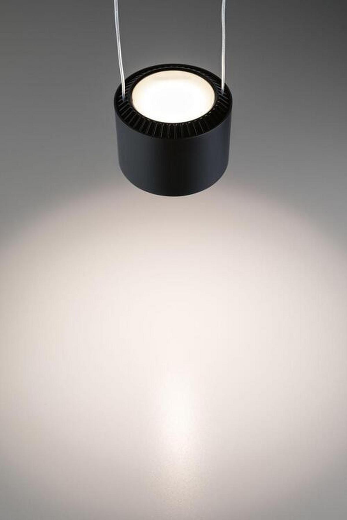 Schienensystem Urail Hängeleuchte 94972 Schwarz - Schwarz, Design, Metall (8,5cm) - Paulmann