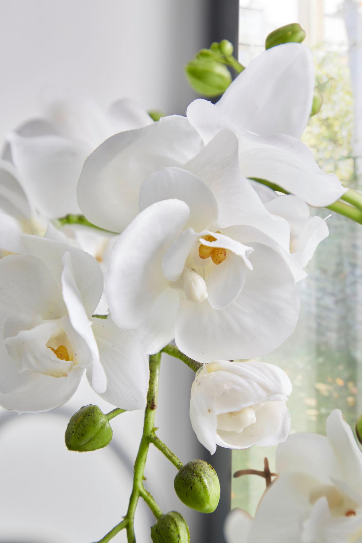 Kunstpflanze Orchidee Weiß/Grün L: 23 cm mit Topf - Weiß/Braun, KONVENTIONELL, Keramik/Kunststoff (23/47cm) - James Wood