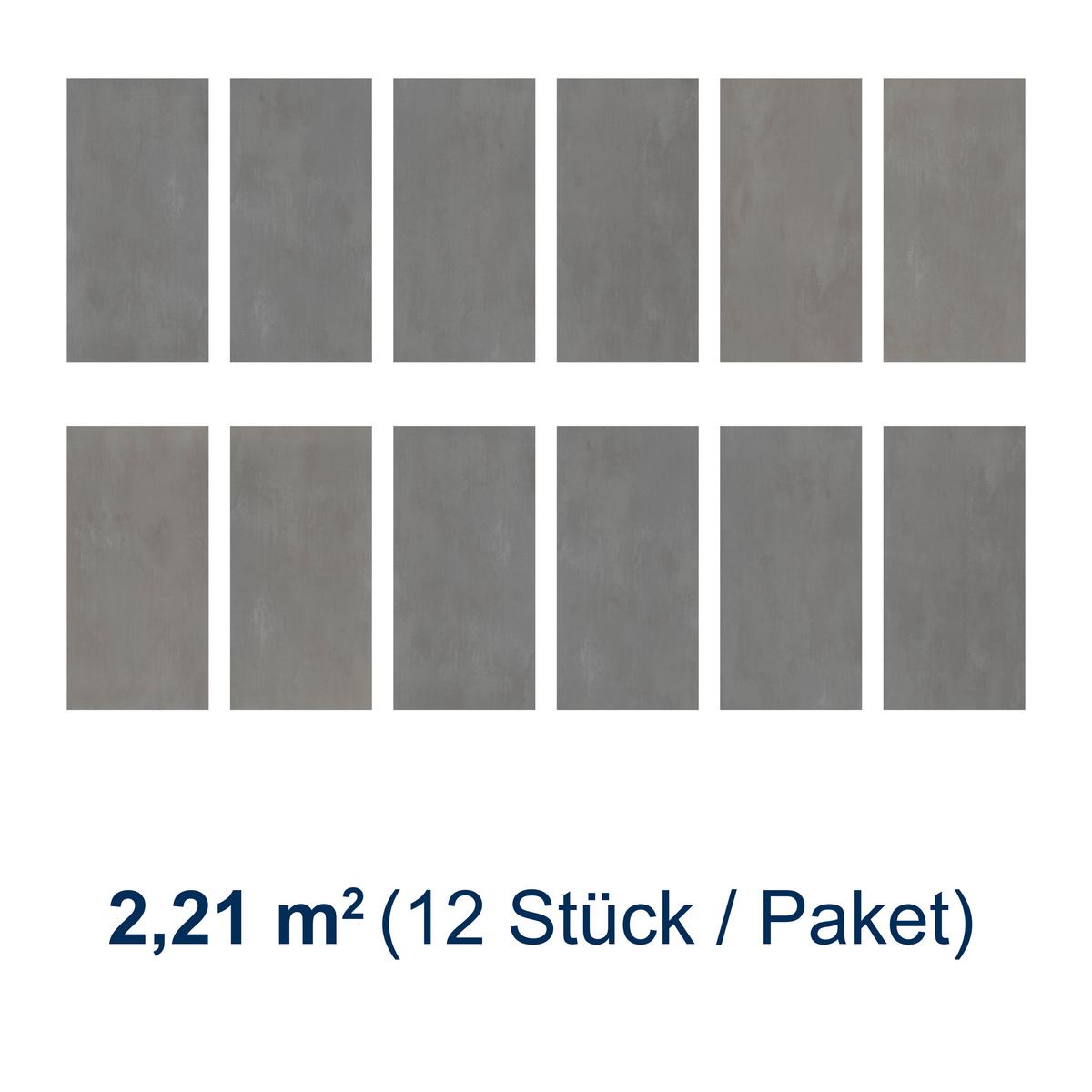 Designboden Steinoptik Grau /dunkelgrau Stärke 4,2mm - Dunkelgrau/Grau, Basics, Kunststoff (60.5/30.48/0.42cm)