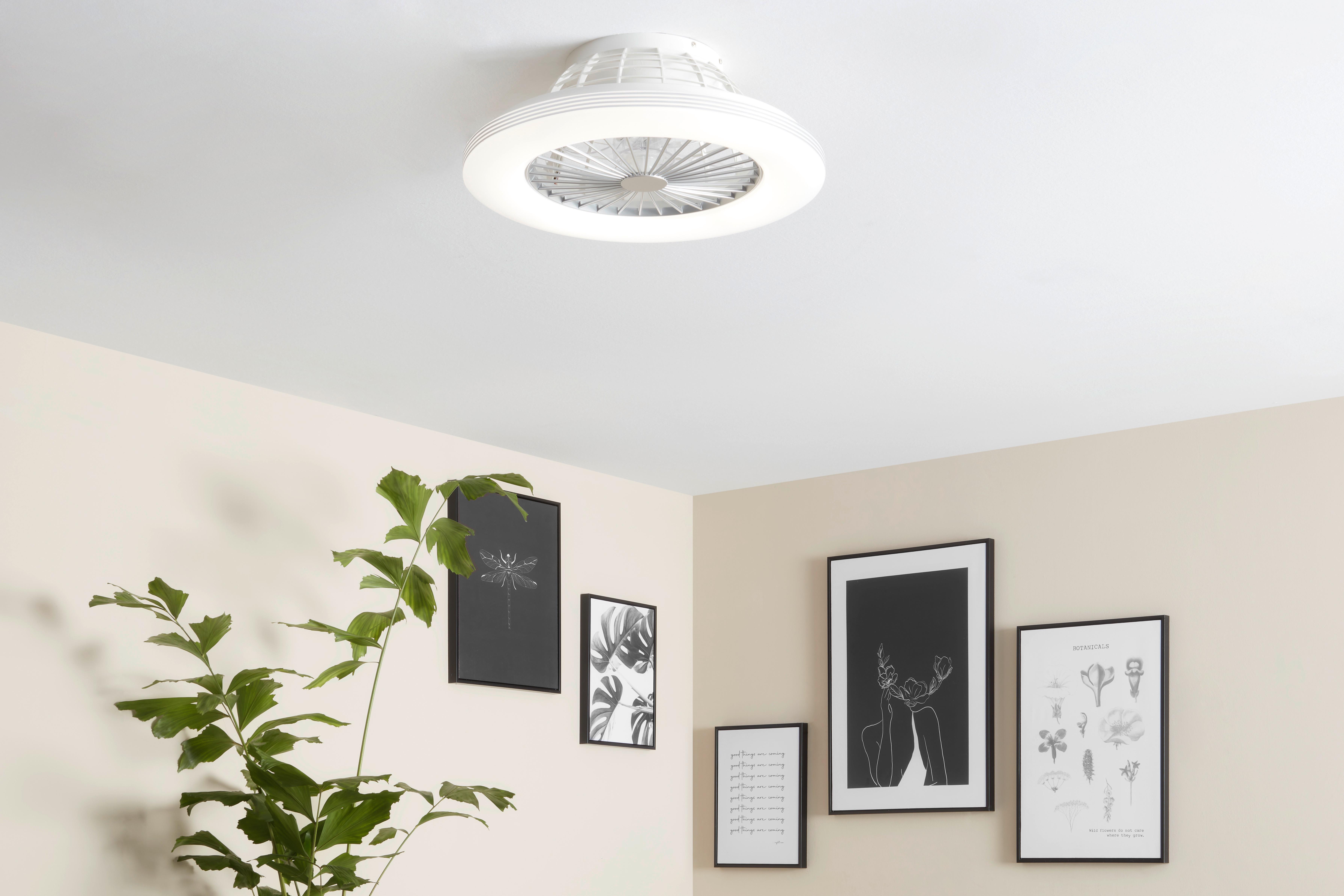Sada Obrazů Multiple - vícebarevná, Moderní, kompozitní dřevo/textil - Modern Living