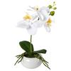Kunststoff Orchideen Weiß, Inkl. Topf: H: 27 Cm - Weiß/Grün, Design, Keramik/Kunststoff (27cm) - P & B
