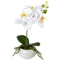Kunststoff Orchideen Weiß, inkl. Topf: H: 27 cm - Weiß/Grün, Design, Keramik/Kunststoff (27cm) - P & B