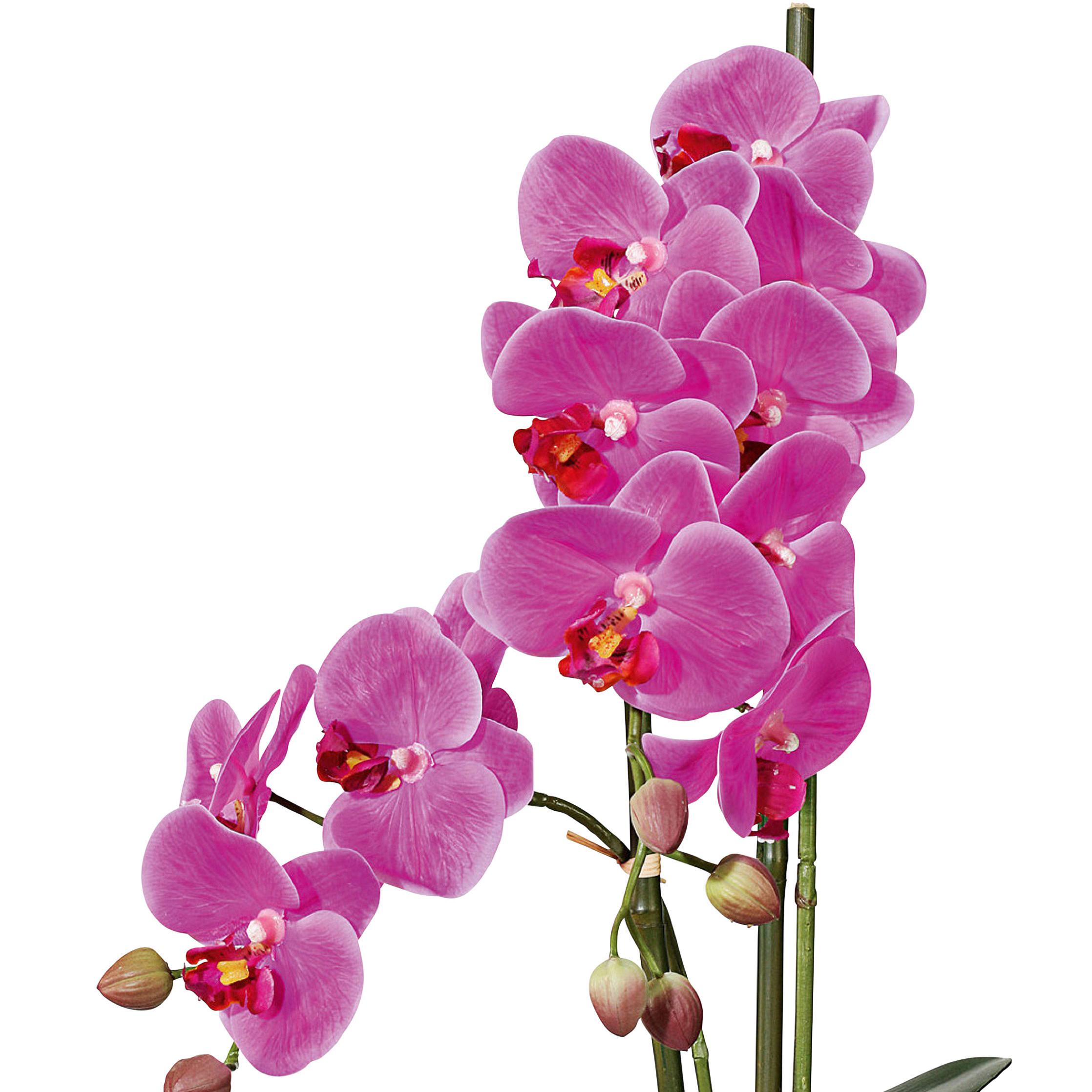 Kunstpflanze Orchideen Pink, Topf: Weiß, H: 50 cm - Pink/Weiß, Design, Keramik/Kunststoff (50cm) - P & B