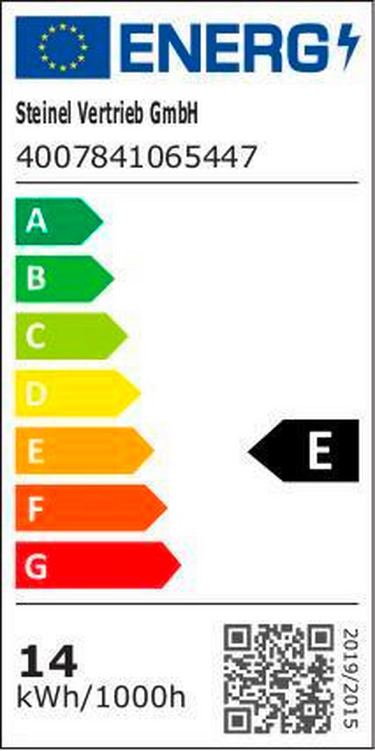 LED-Außenleuchte Led Strahler XLed Home 2 Sc - Schwarz, Basics, Kunststoff (16,1/18/21,8cm) - Steinel