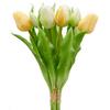 Tulipán TULPENBUND I - bílá/zelená, Basics, kov/plast (31cm) - Mömax