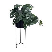 Umelá rastlina GARY - čierna/tmavozelená, kov/plast (16/65cm) - Mömax