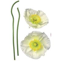 Dekosticker 17022h - Gelb/Weiß, Natur, Kunststoff (50/70cm)