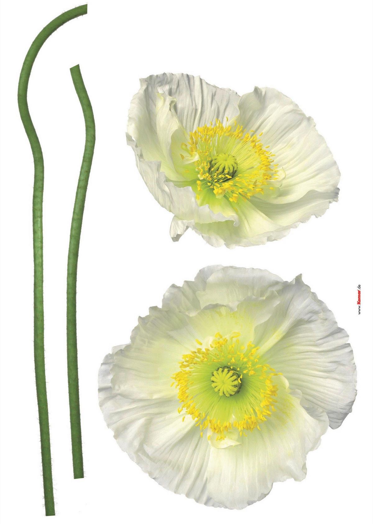 Dekosticker 17022h - Gelb/Weiß, Natur, Kunststoff (50/70cm)