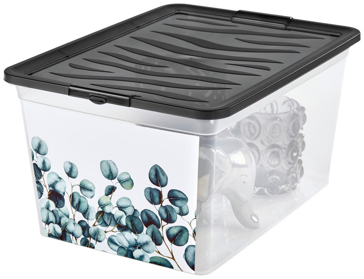 Aufbewahrungsbox Eukalyptus Mit Deckel 38,4x19,9x28,3 Cm - Klar/Anthrazit, KONVENTIONELL, Kunststoff (38,4/19,9/28,3cm)