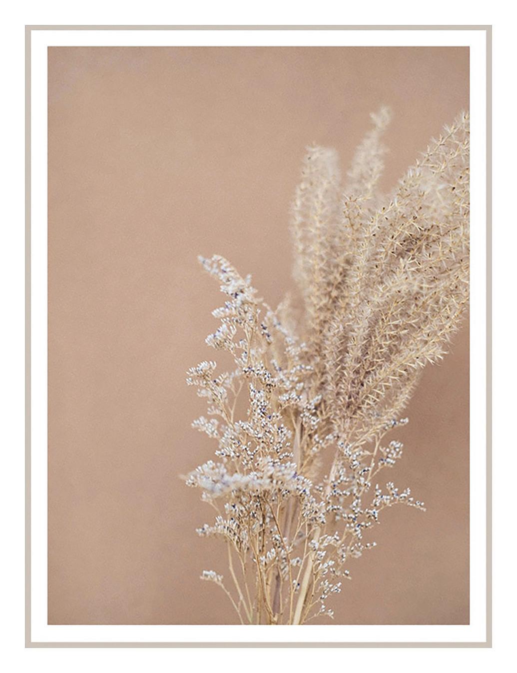 Obraz Na Plátně Flora -Paz- - přírodní barvy, Lifestyle, textil/plast (63/83/2,5cm) - Modern Living