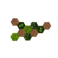 Moospaneel Grün Hellbraun B: 19 cm - Hellbraun/Grün, Basics, Naturmaterialien/Holz (19/22cm)