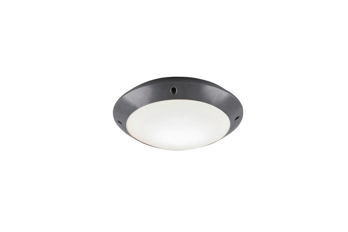Außendeckenleuchte R60501042 Camaro - Basics (26/8,5cm)
