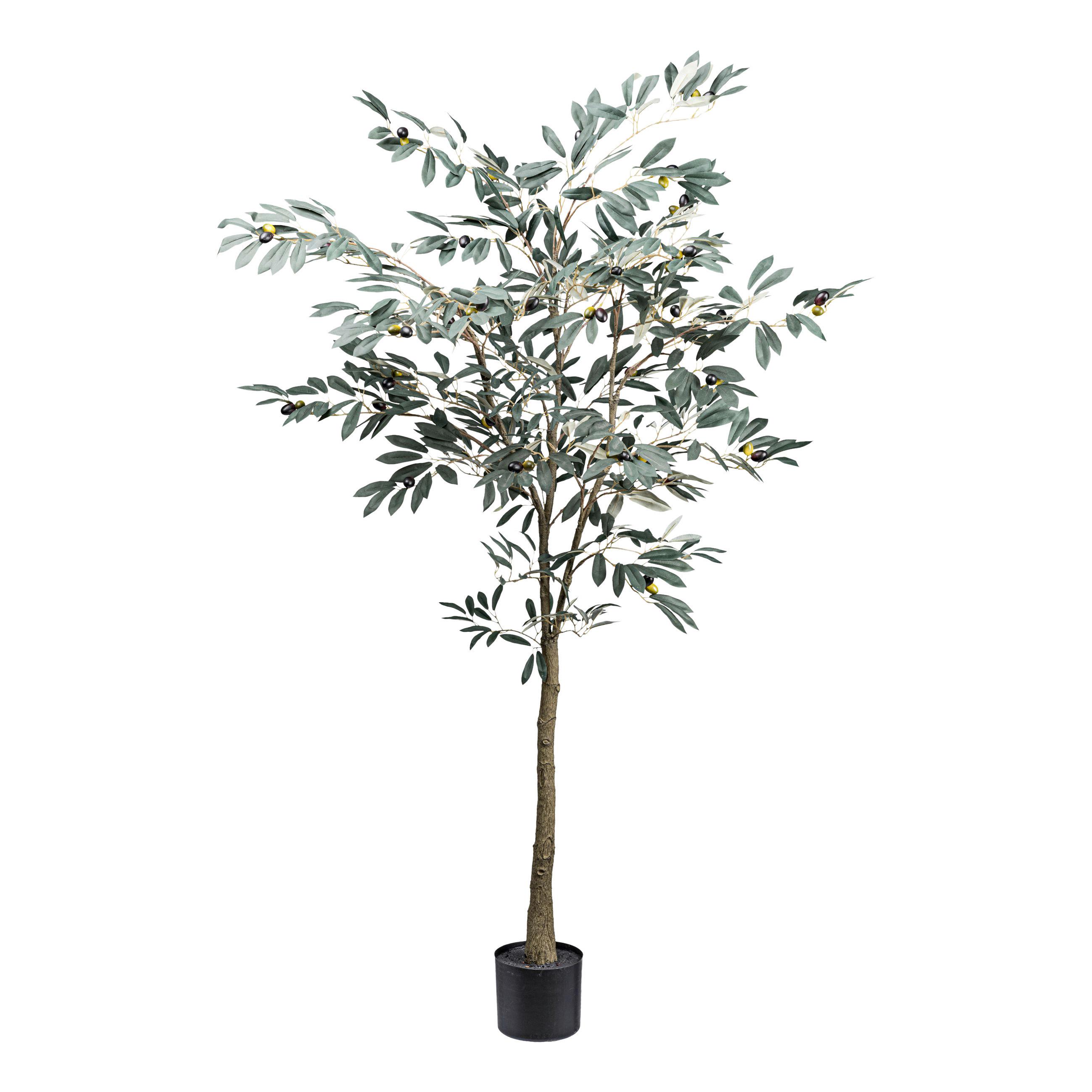 Kunstpflanze Olive H: 150 cm - Schwarz/Braun, Design, Kunststoff (150cm) - P & B