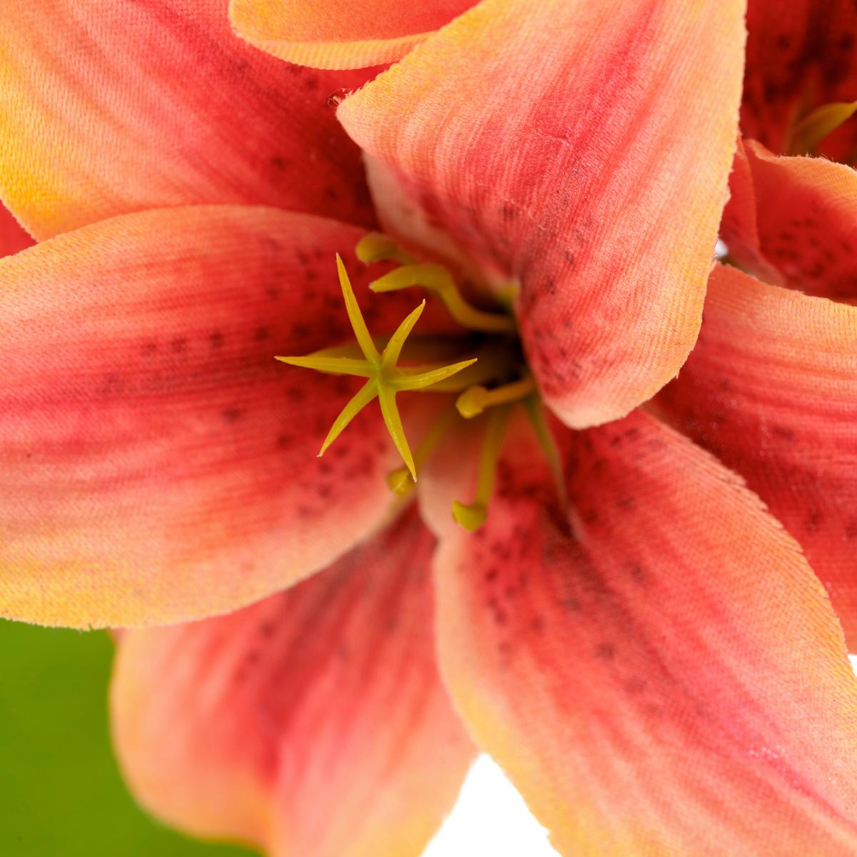 Umělá květina lilie LILIE I -PAZ- - oranžová/zelená, Basics, kov/textil (78cm) - Mömax