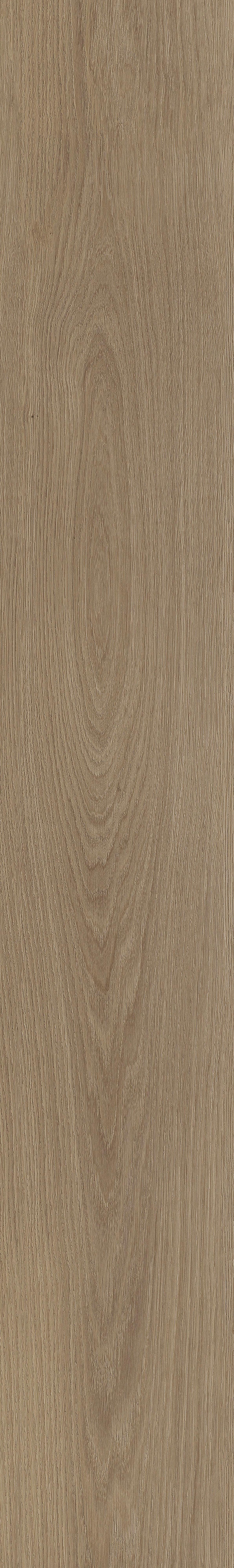 Vinylboden 4052 - Eichefarben, Basics, Kunststoff (18,2/122/0,32cm)