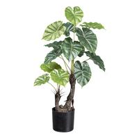 UMĚLÁ ROSTLINA TARO I - černá/zelená, Basics, plast (70cm) - Modern Living