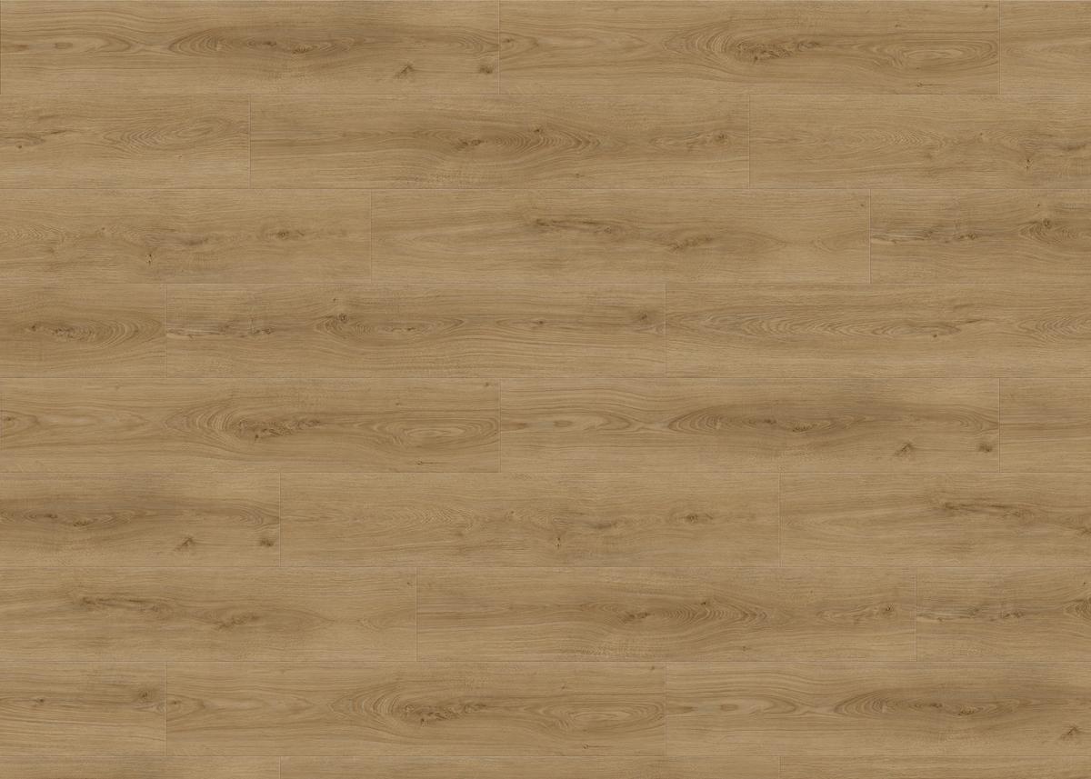 Designboden Eichefarben Landhausdiele Stärke 8mm - Eichefarben, Basics, Holzwerkstoff (23.5/128.2cm) - Living by HARO