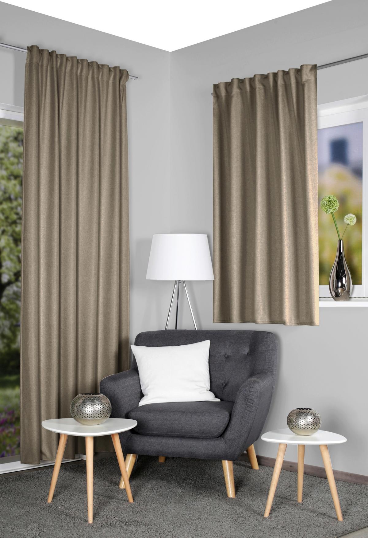 Wärmeschutzvorhang Eskamio - Beige, Basics, Textil (270/245cm)