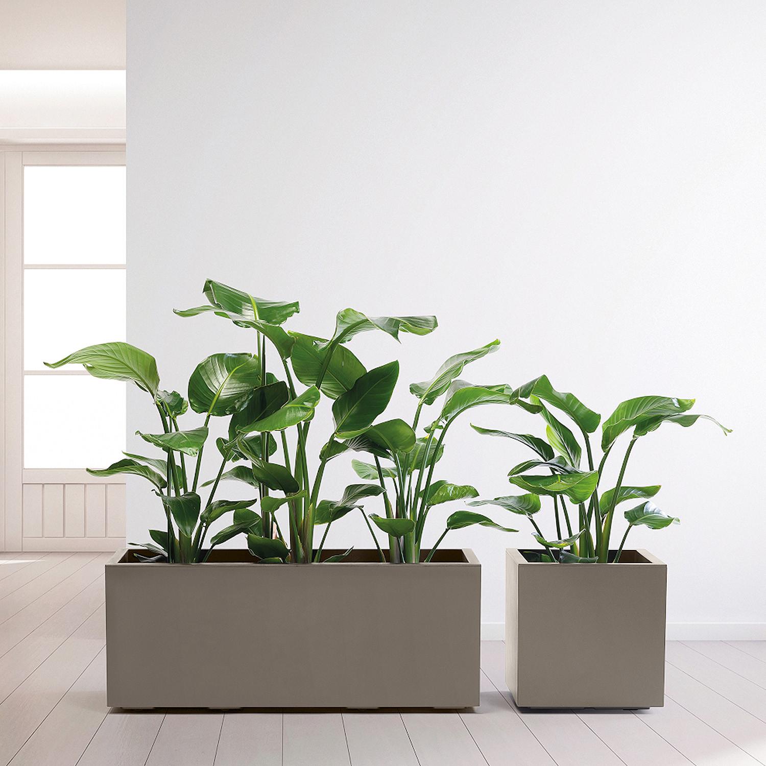 Blumenkasten Taupe B: 99,5 Cm - Taupe, Basics, Kunststoff (99,5/39,5/39,5cm)