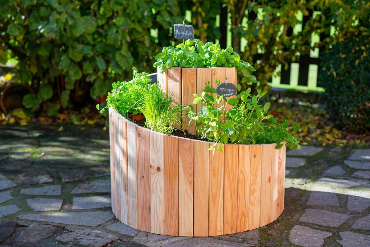 Hochbeet Echtholz Lärche Kräuterschnecke 55x74x55 cm - Lärchefarben, Basics, Holz (55/74cm)