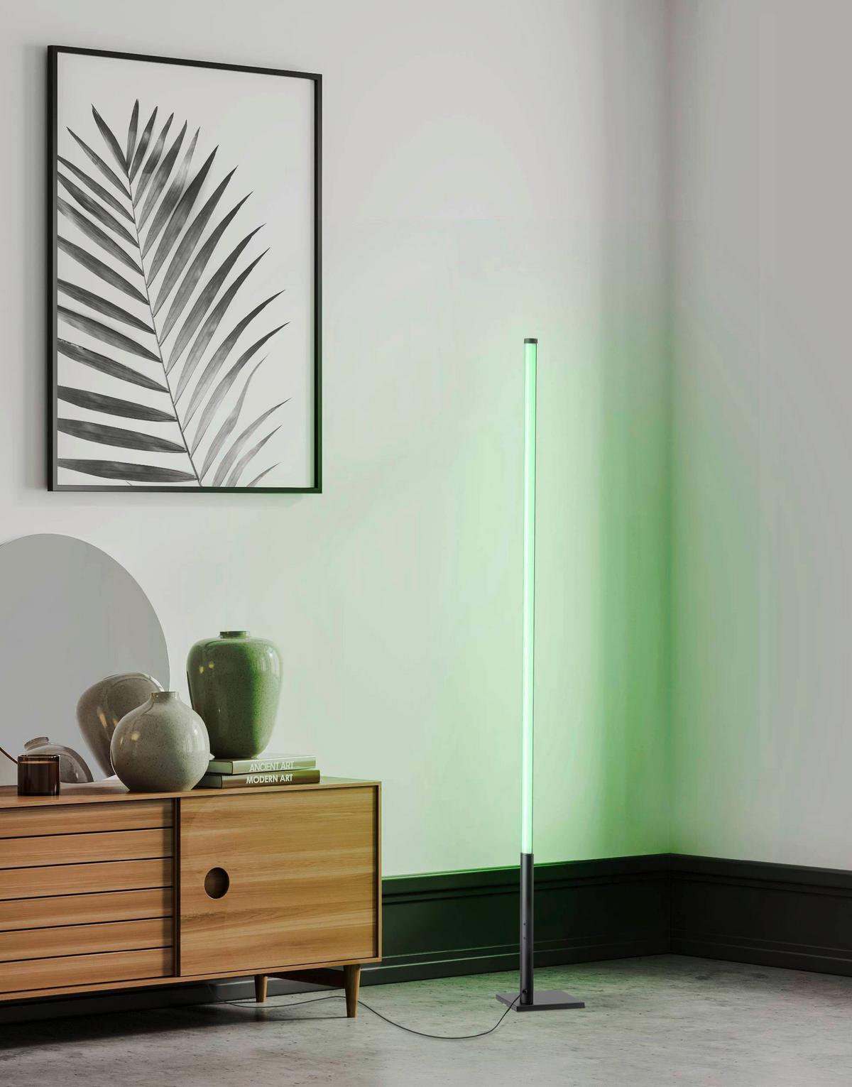 Stehlampe Picacha 1 Schwarz/Weiss - Schwarz/Weiß, Basics, Kunststoff/Metall (2/2/150cm) - Eglo