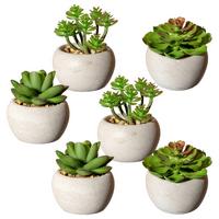 Kunstpflanze Sukkuleten Grau/Grün, 6 cm - Grau/Grün, Design, Keramik/Kunststoff (6cm) - P & B