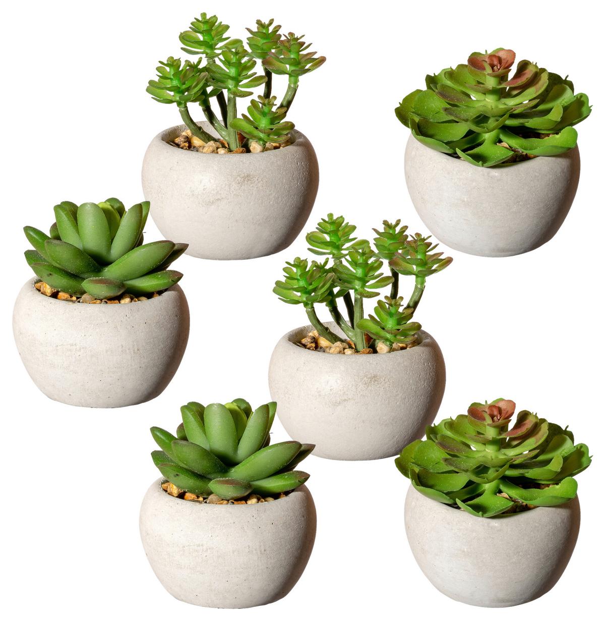 Kunstpflanze Sukkuleten Grau/Grün, 6 cm - Grau/Grün, Design, Keramik/Kunststoff (6cm) - P & B