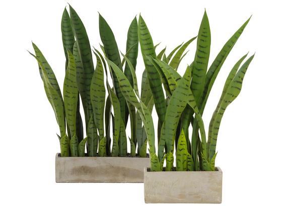 Umelá Rastlina Vitus - zelená, plast (58cm) Umelá Rastlina Vitus - zelená, plast (58cm)