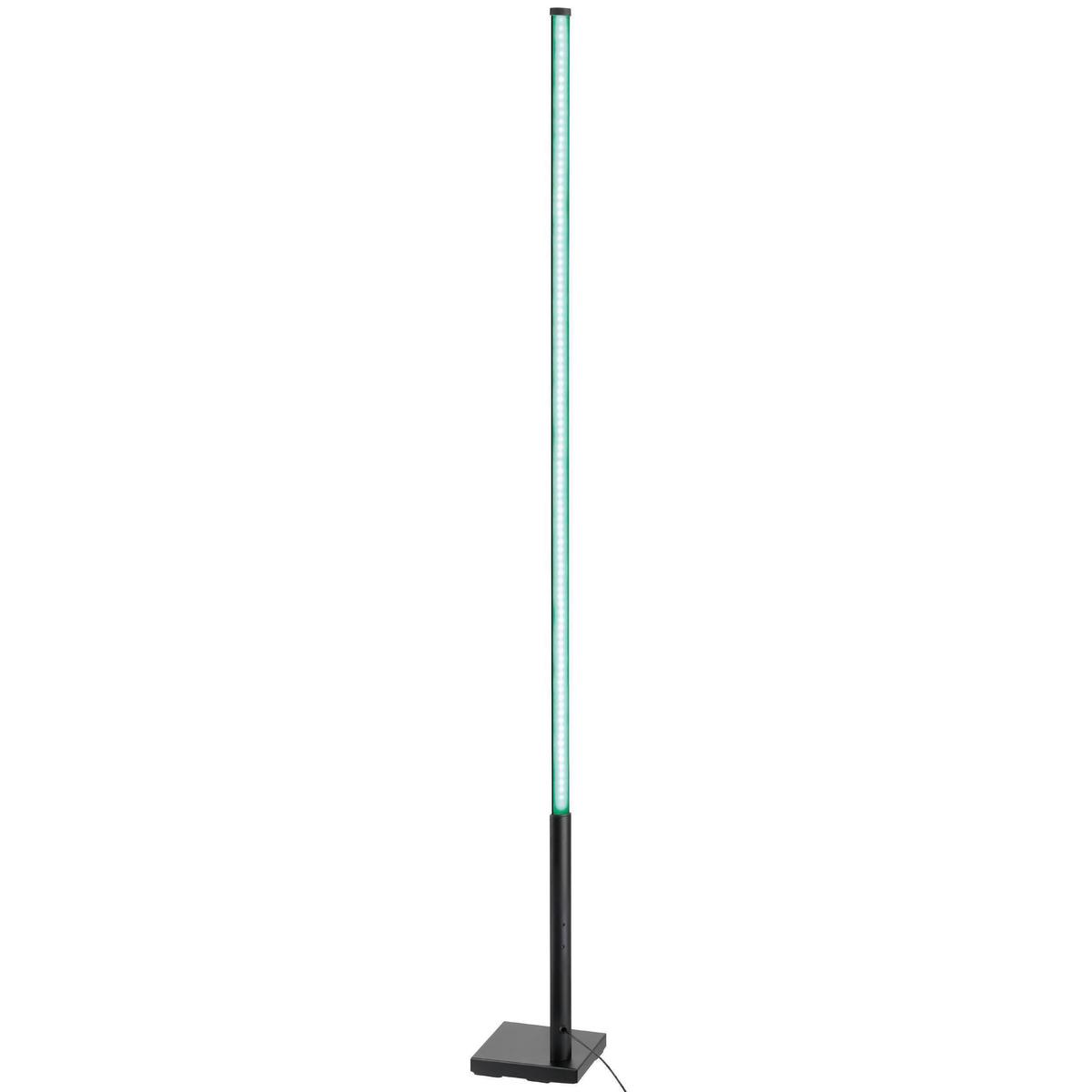 Stehlampe Picacha 1 Schwarz/Weiss - Schwarz/Weiß, Basics, Kunststoff/Metall (2/2/150cm) - Eglo
