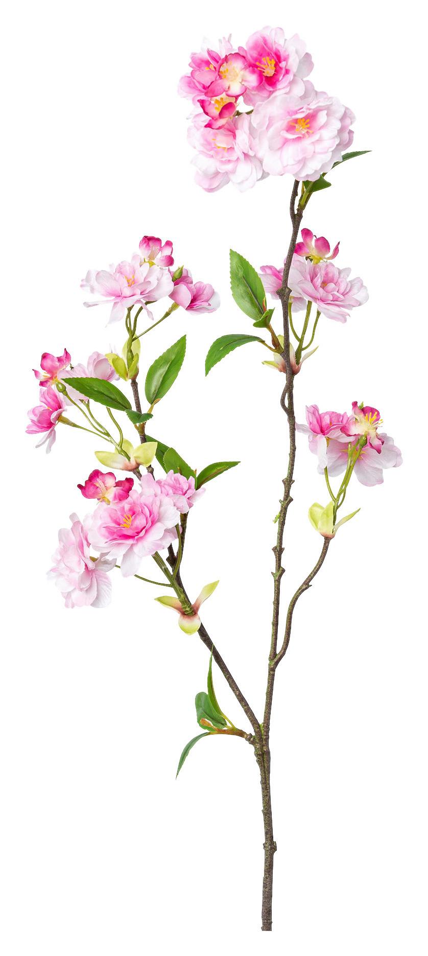 Kunstpflanze Kirschblütenzweig Pink/Weiß L: 66 cm, Geli - Pink/Braun, Natur, Kunststoff (66cm)