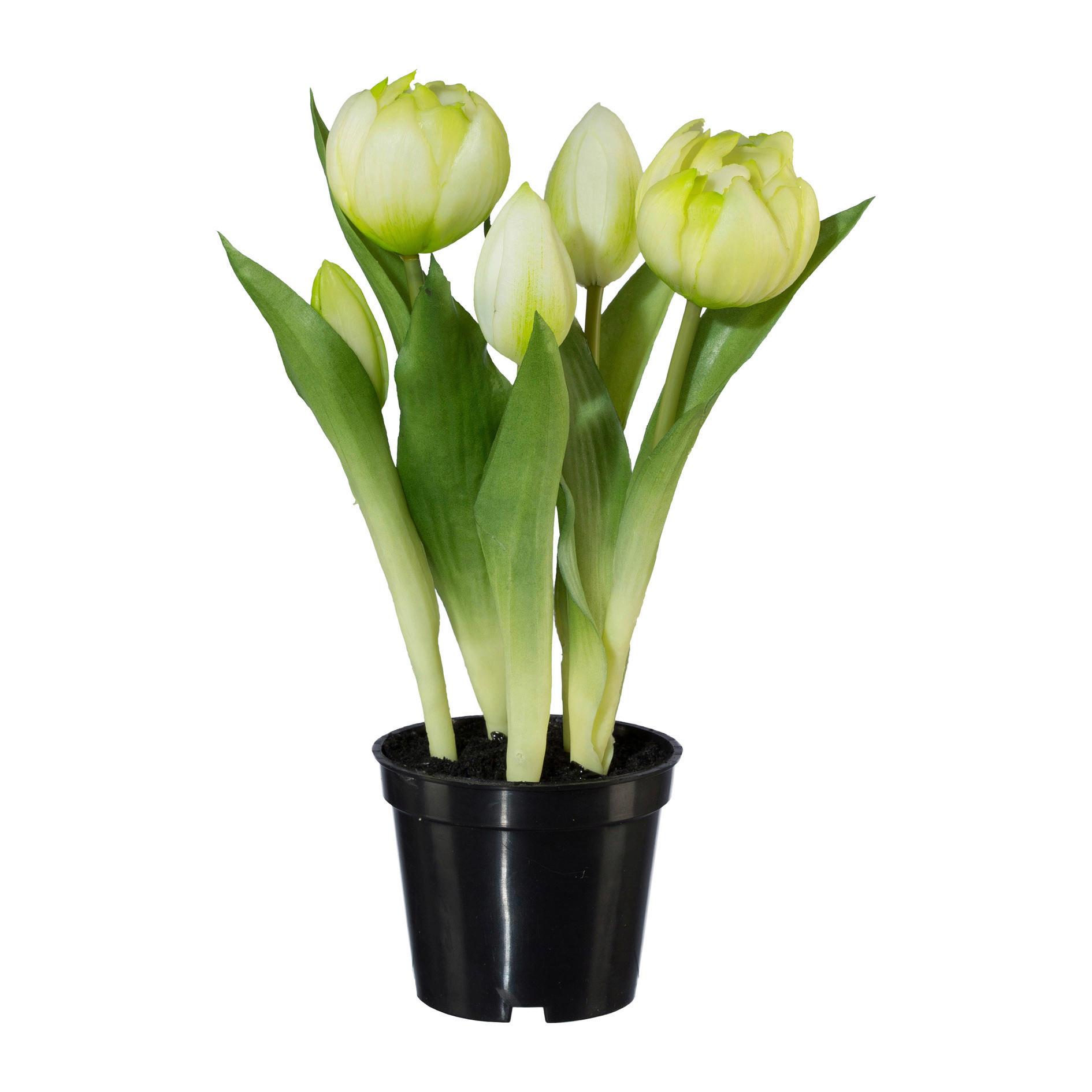 Umelá rastlina Tulipány, V: 25cm - čierna/biela, Basics, plast (25cm) - Modern Living