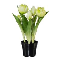 Umelá rastlina Tulipány, V: 25cm - čierna/biela, Basics, plast (25cm) - Modern Living