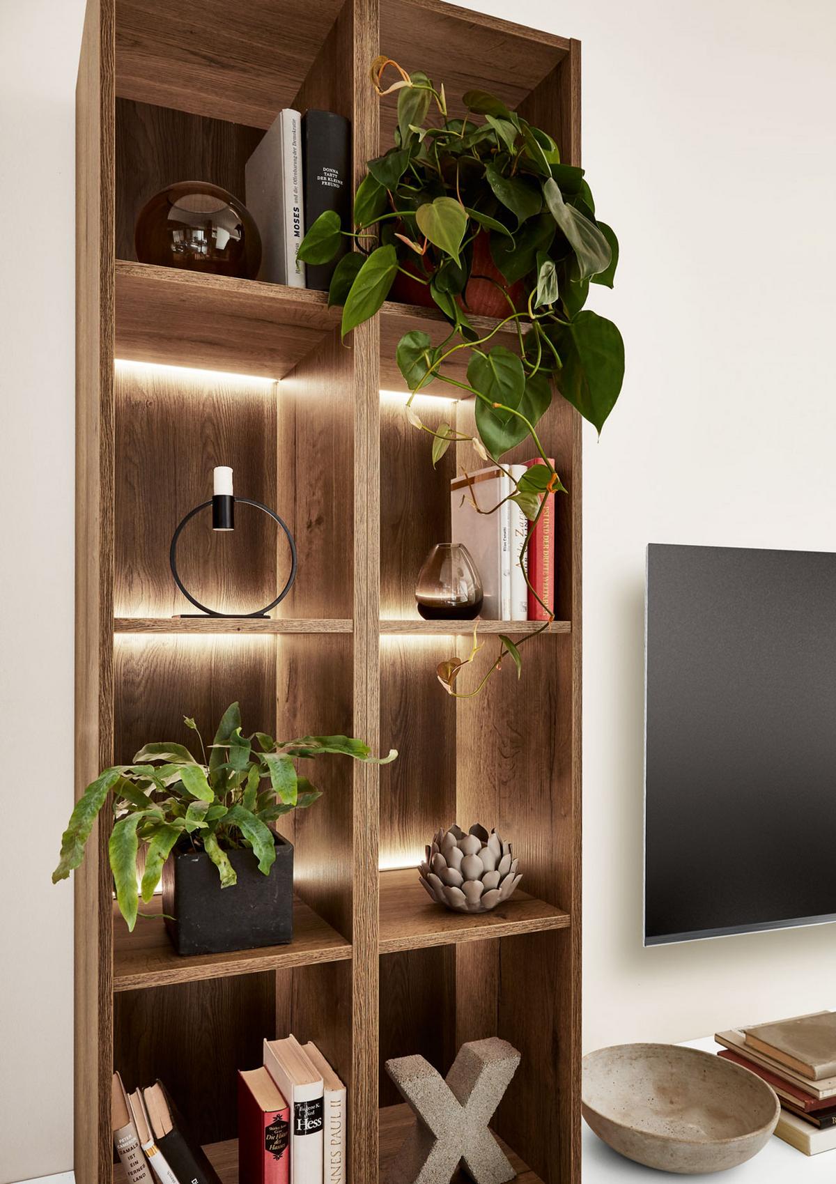 Einbauküche Fontana Frei Planbar Modern, Grifflos - Eichefarben/Anthrazit, MODERN, Holzwerkstoff - Vertico