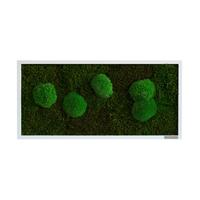 Moosbild Grün B: 57 Cm - Weiß/Grün, Basics, Naturmaterialien/Holz (57/27/6cm)