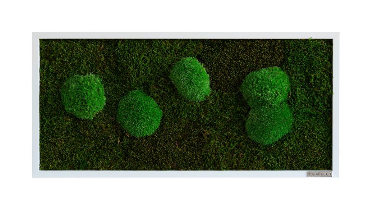 Moosbild Grün B: 57 Cm - Weiß/Grün, Basics, Naturmaterialien/Holz (57/27/6cm)