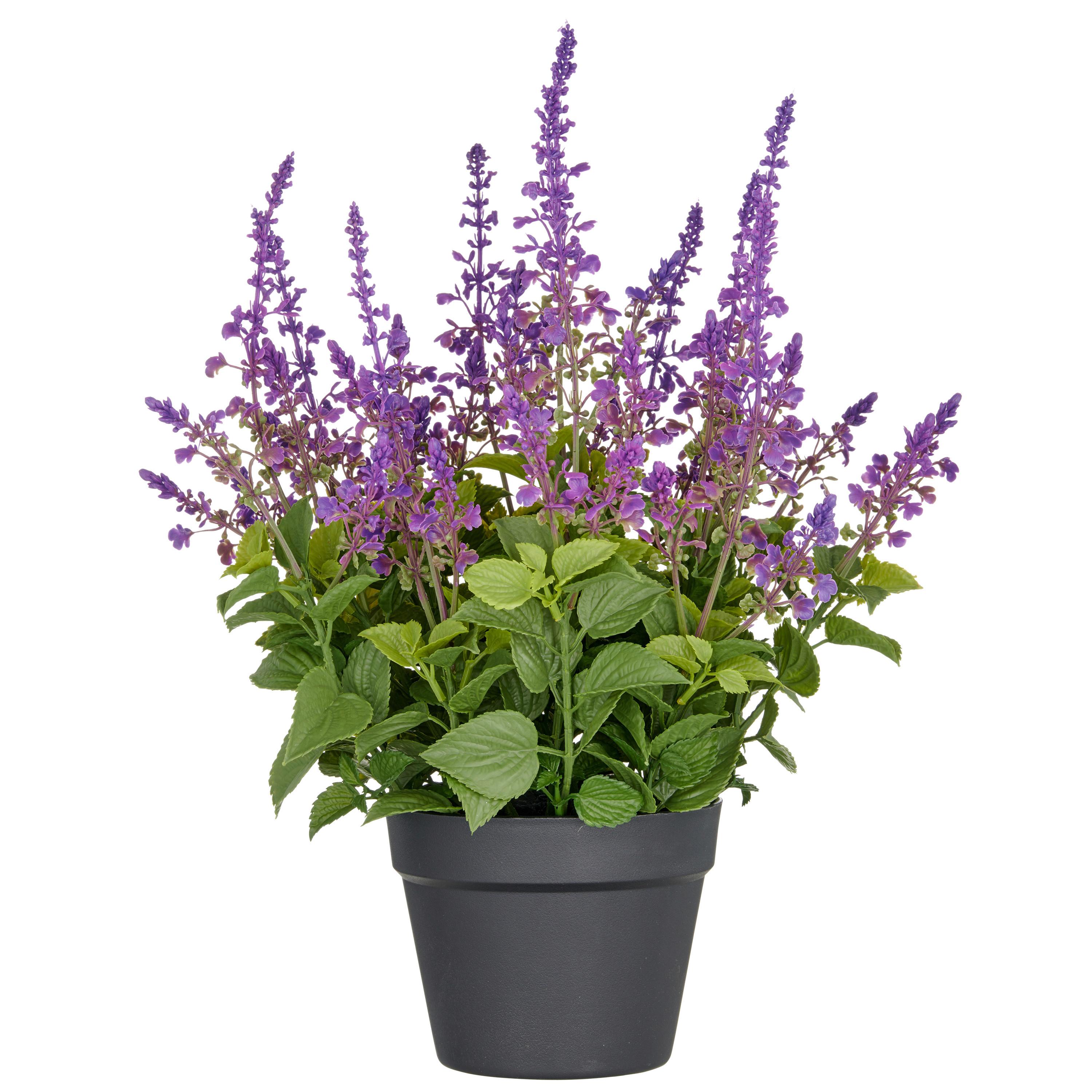 Kunstpflanze Grün Lila B: 19 cm - Lila/Schwarz, Basics, Kunststoff (59cm) - P & B