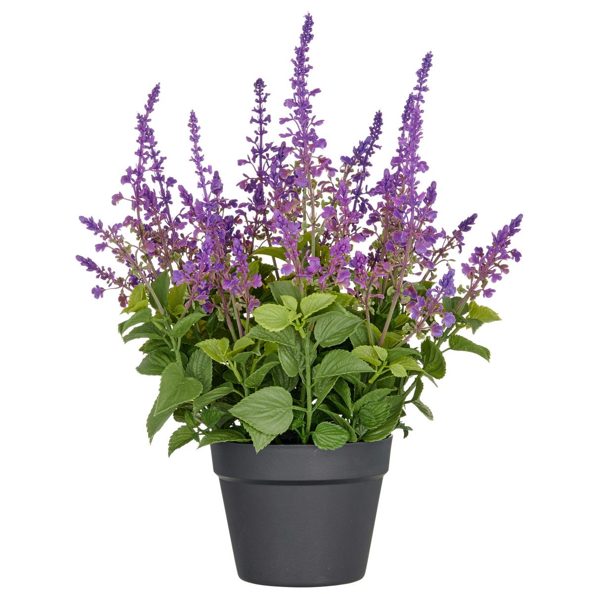 Kunstpflanze Grün Lila B: 19 Cm - Lila/Schwarz, Basics, Kunststoff (59cm) - P & B