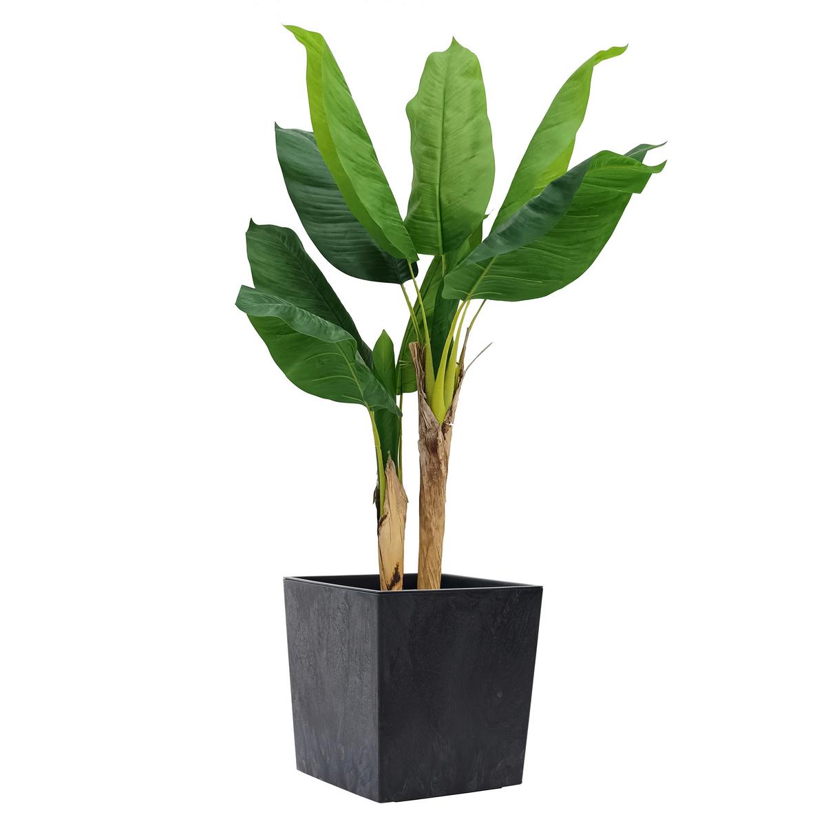 Pflanzentopf Schwarz B: 40 cm - Schwarz, Basics, Kunststoff (40/41/40cm) - Siena Garden