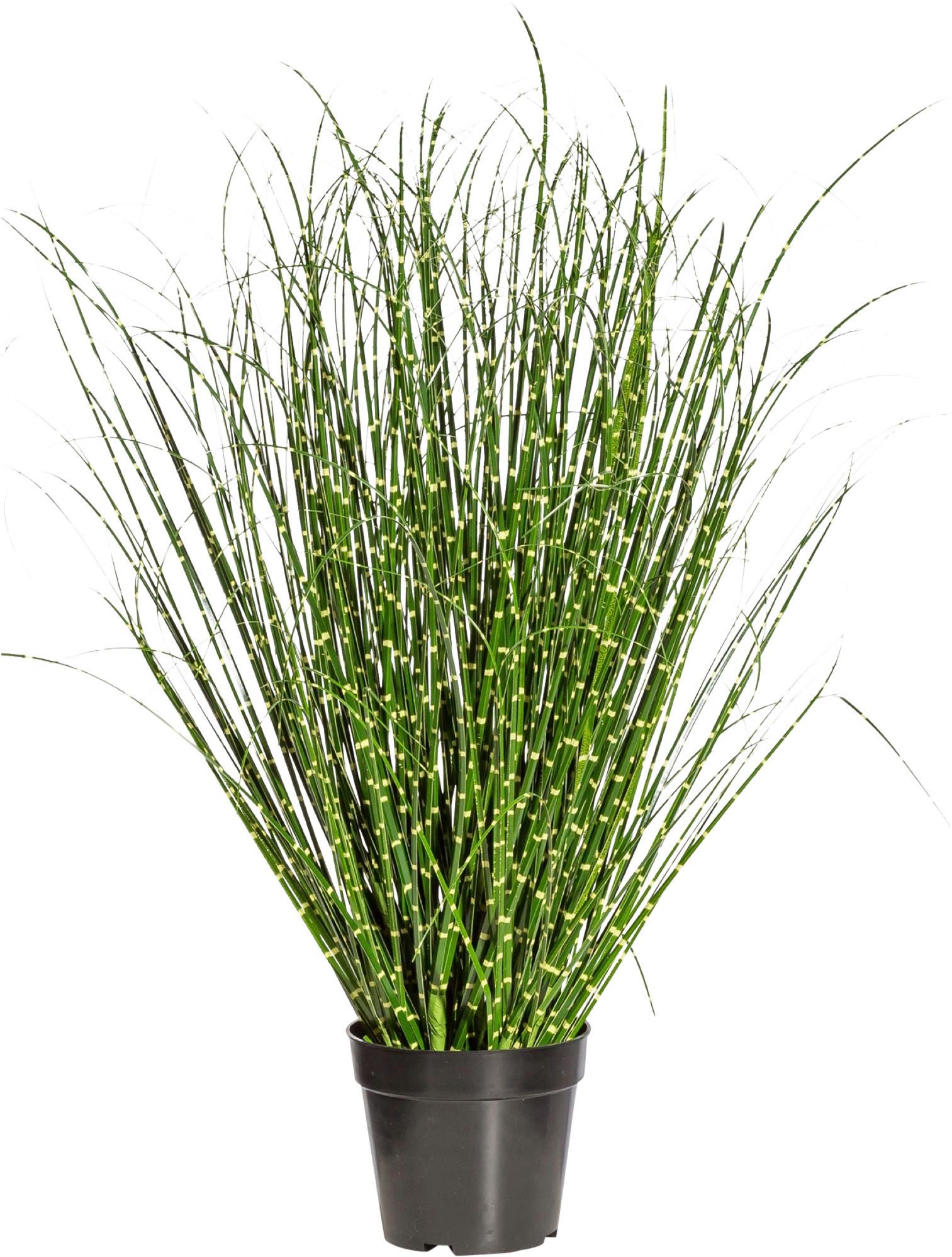 Kunstpflanze, Schilfgras, Gelb Grün, inkl. Topf, H: 80 cm - Gelb/Schwarz, Design, Kunststoff (80cm) - P & B