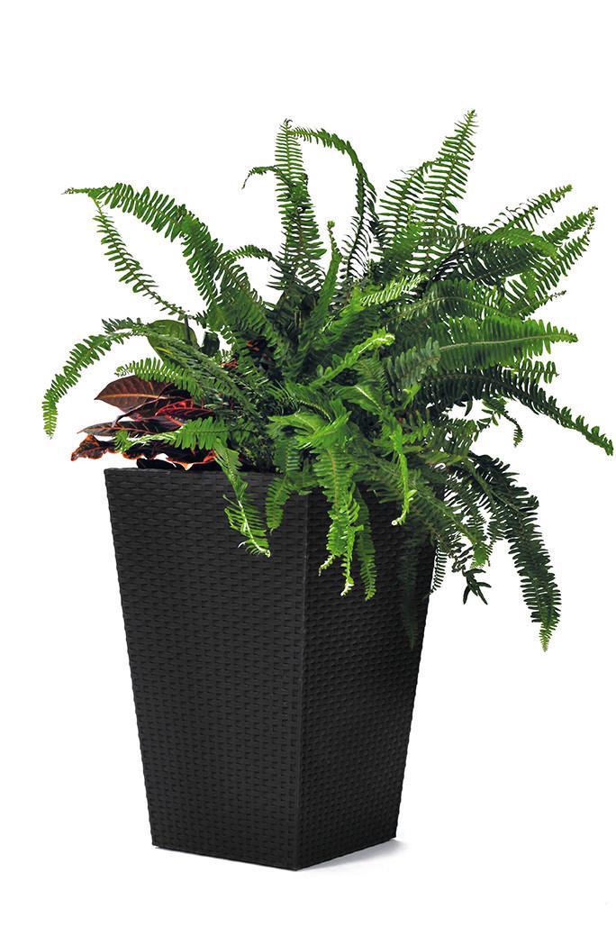 Kaspó Rattan Planter - antracit, műanyag (28.5/28.5/43.5cm)