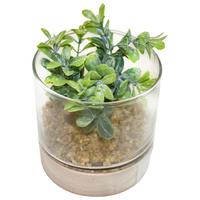 Umělá rostlina sukulent, 10/10cm - zelená, Basics, dřevo/plast (10/10cm) - Modern Living