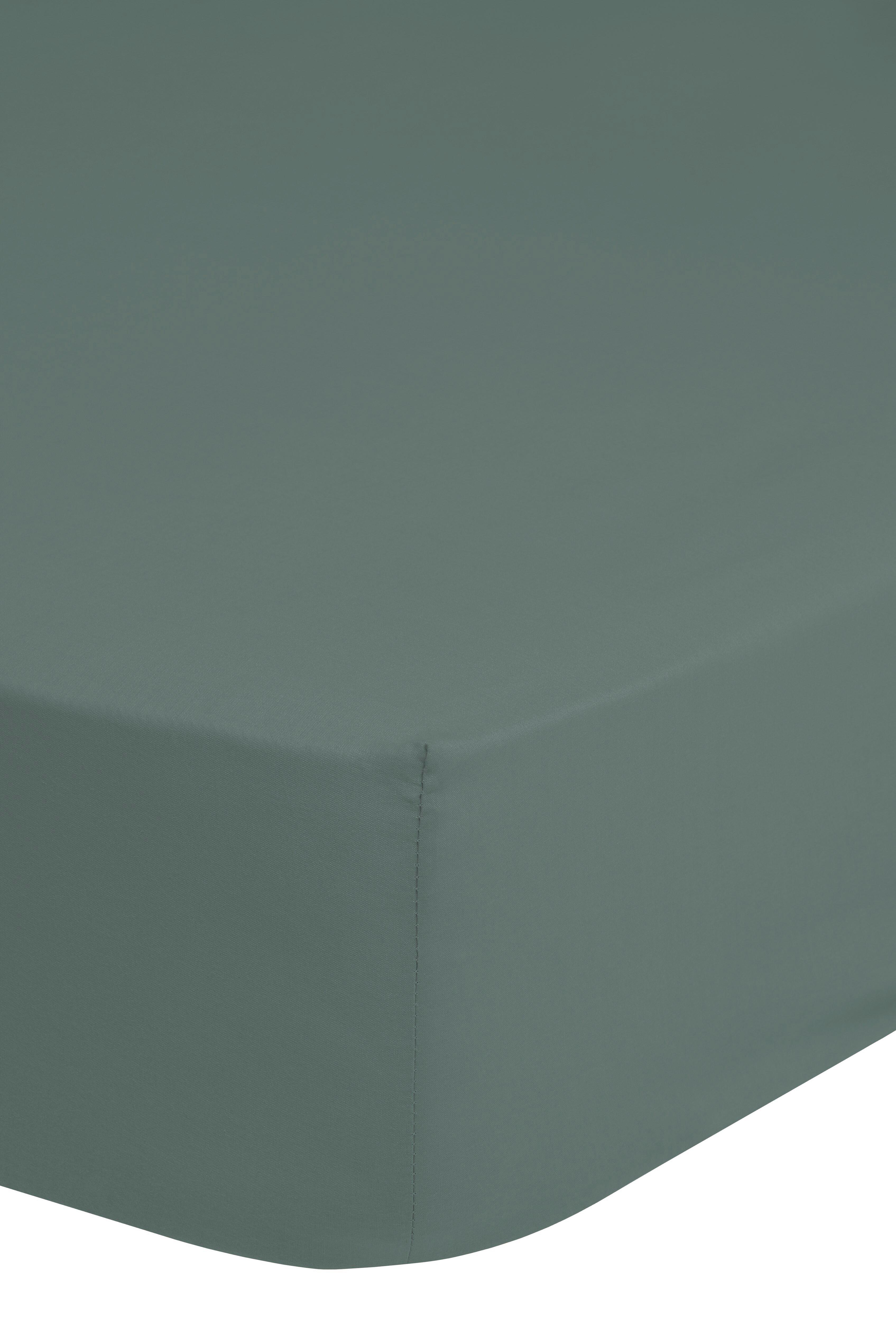 Spannleintuch Easy Care Olivgrün 160x200 cm Baumwolle - Olivgrün/Grün, Basics, Textil (160/200cm) - MID.YOU